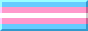 Transgender flag